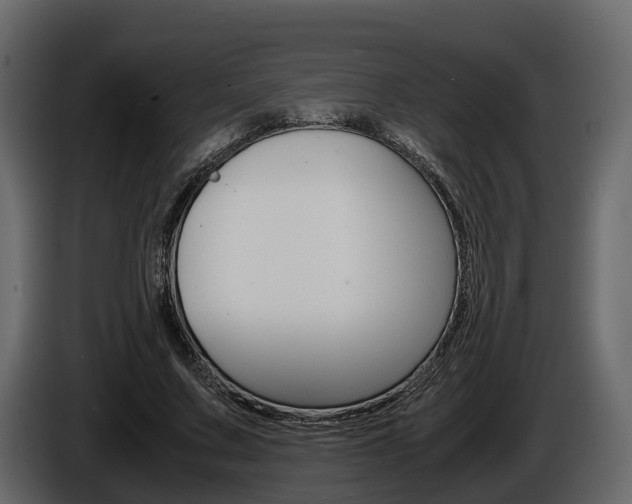 X0000086010683200703230911