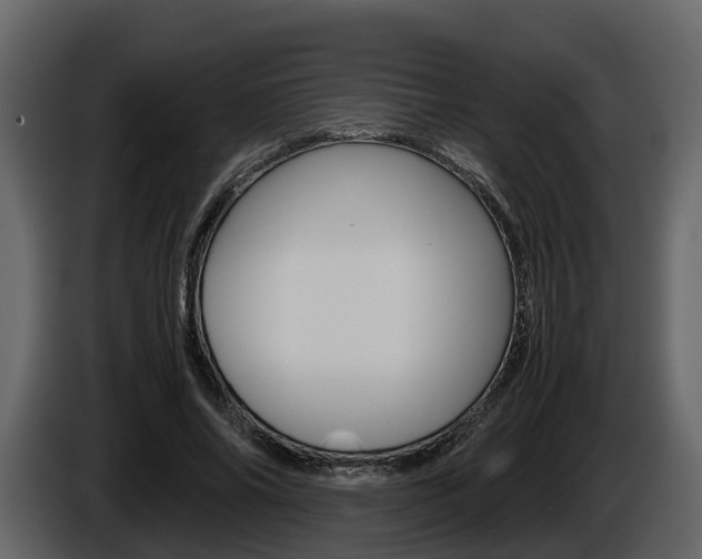 X0000086010686200703230911