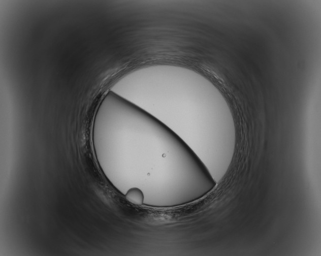 X0000086010687200703230911