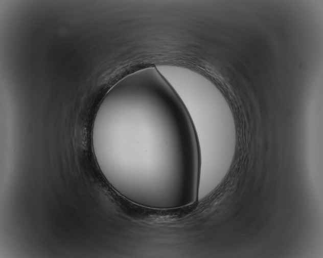 X0000086010689200703230911