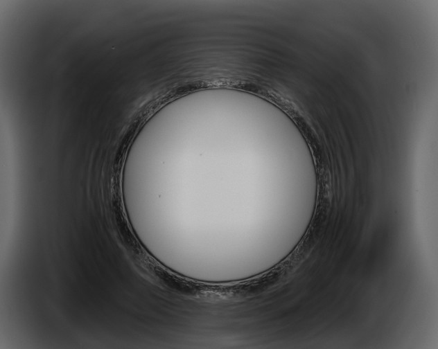 X0000086010690200703230911