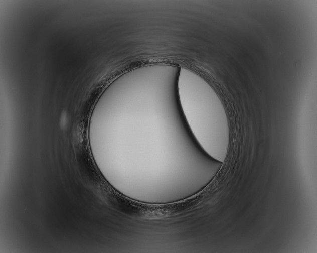 X0000086010691200703230911