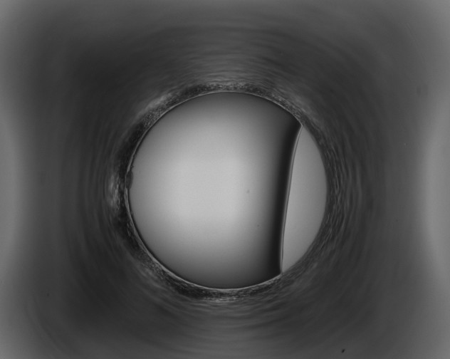 X0000086010692200703230911