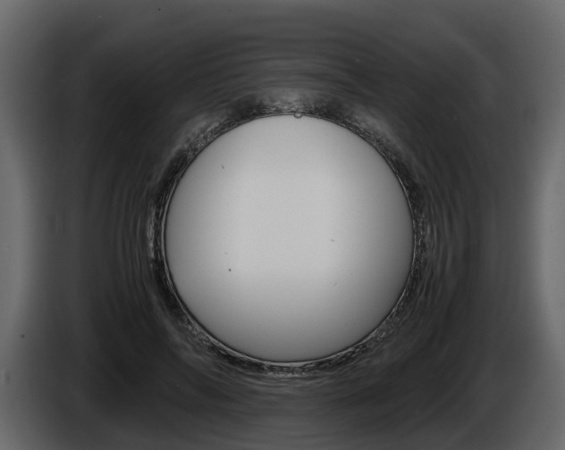 X0000086010694200703230911