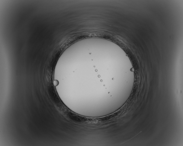 X0000086010695200703230911