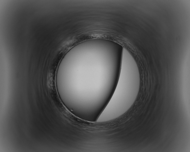 X0000086010696200703230911
