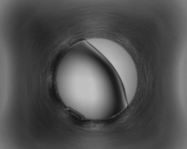 X0000086010697200703230911