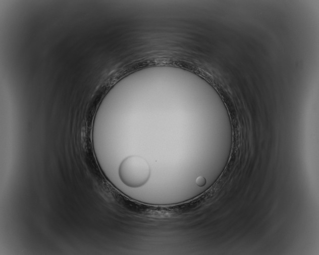 X0000086010698200703230911