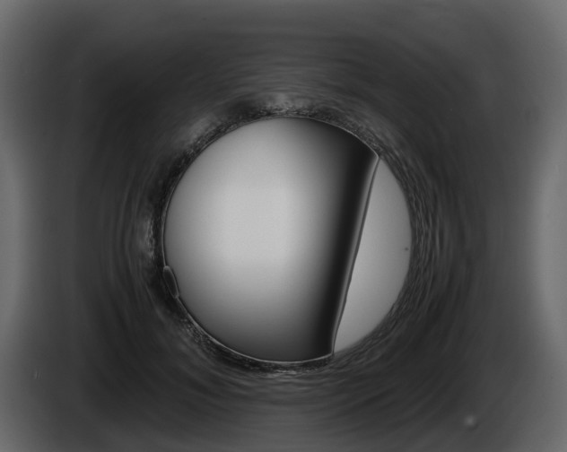 X0000086010700200703230911