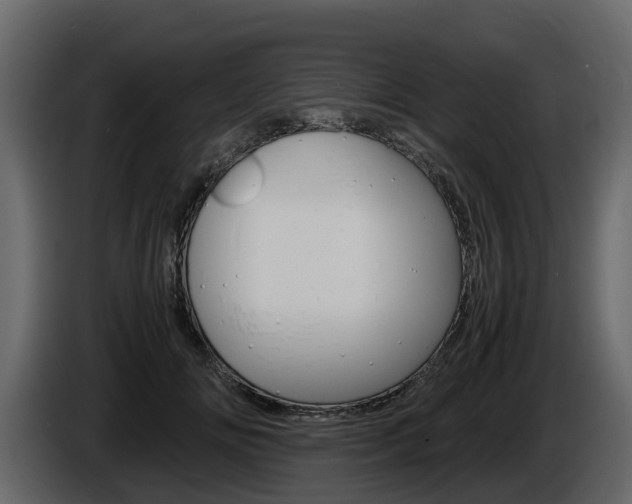 X0000086010702200703230911