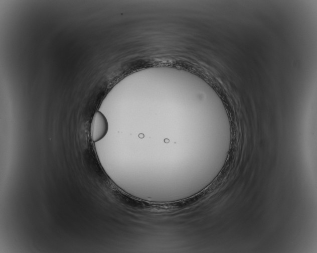 X0000086010707200703230911
