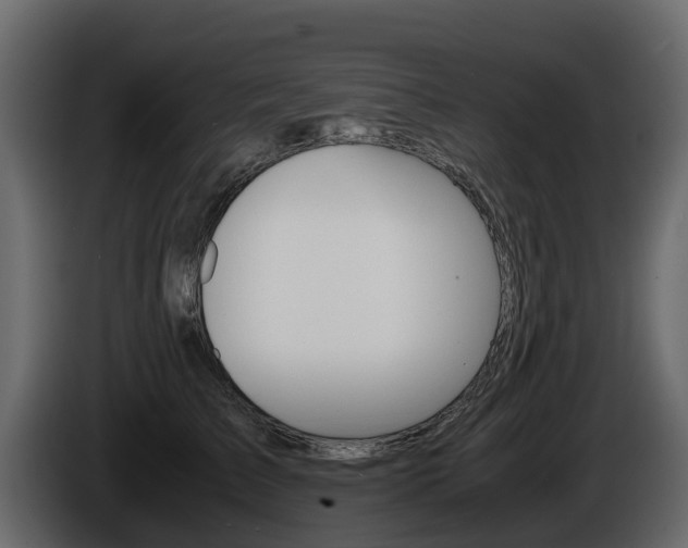 X0000086010709200703230911