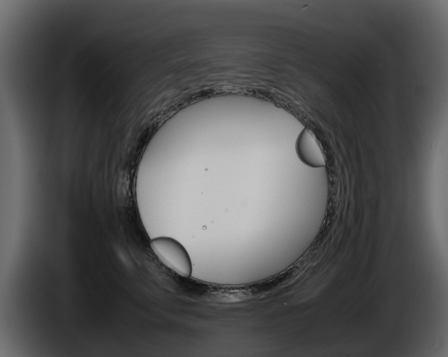X0000086010711200703230911