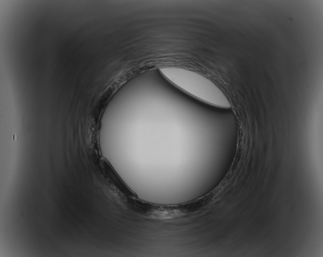 X0000086010712200703230911