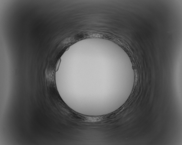 X0000086010713200703230911