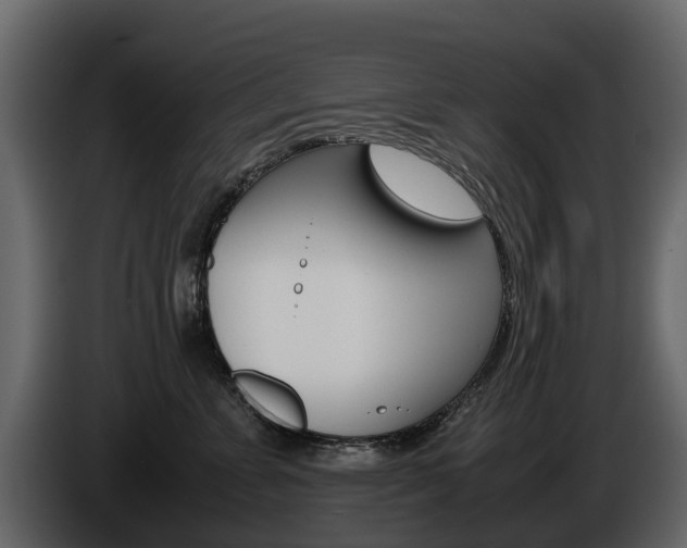 X0000086010715200703230911