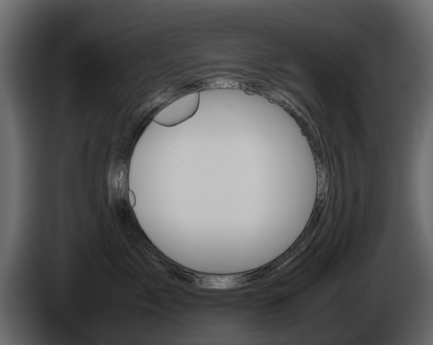 X0000086010717200703230911
