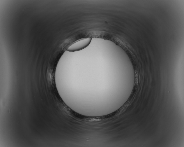 X0000086010718200703230911