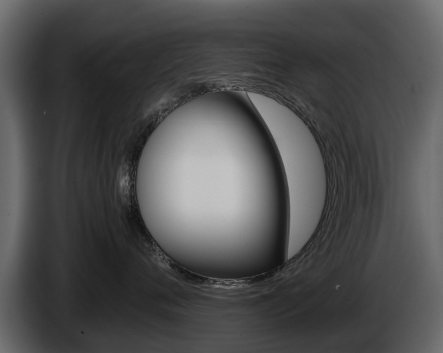 X0000086010720200703230911