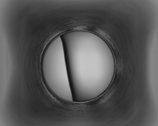 X0000086010721200703230910