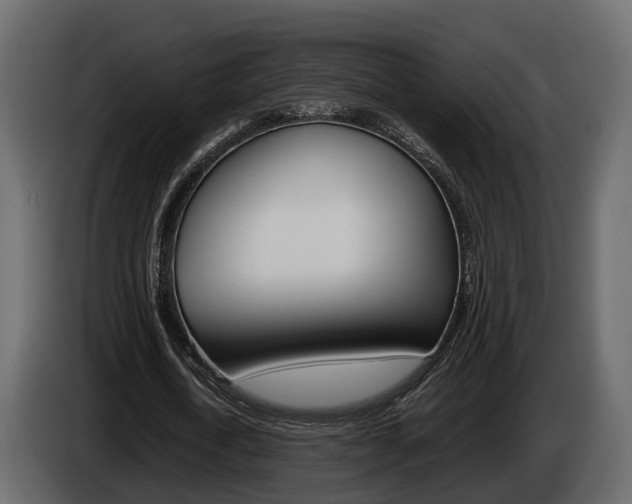 X0000086010722200703230910
