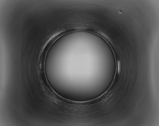 X0000086010723200703230910