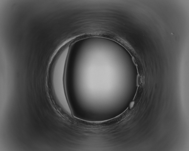 X0000086010724200703230910