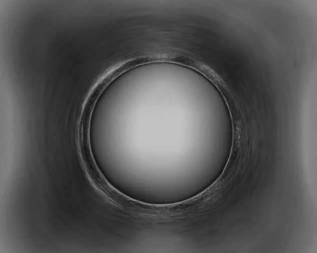 X0000086010726200703230910