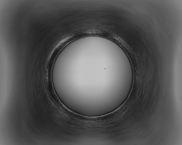 X0000086010727200703230910