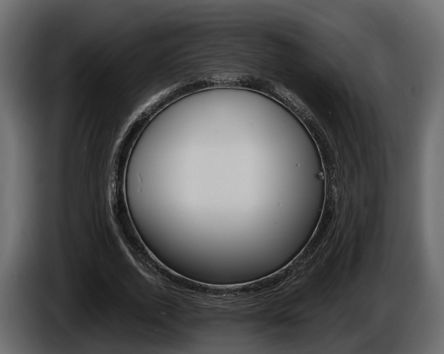 X0000086010728200703230910