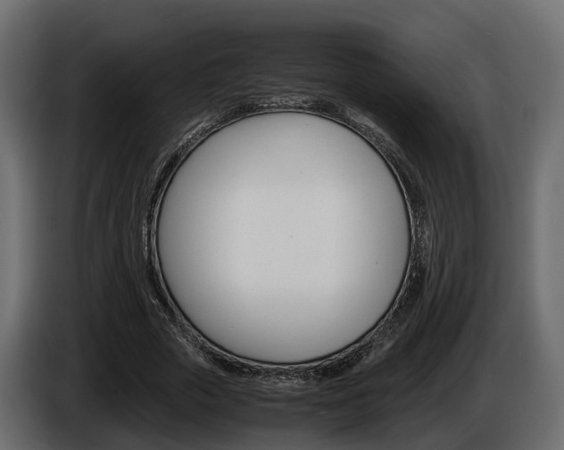 X0000086010729200703230910