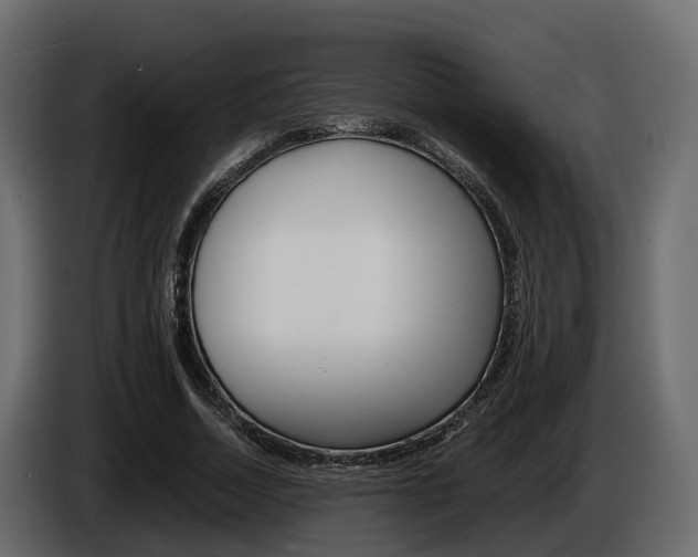 X0000086010730200703230910
