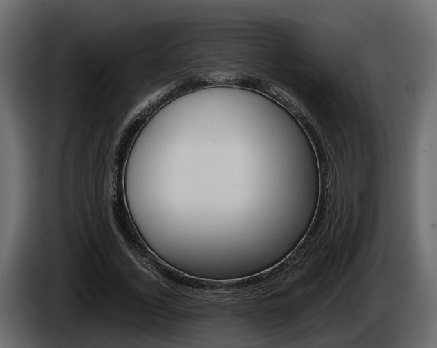 X0000086010732200703230910