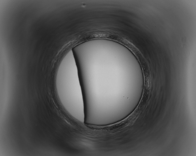 X0000086010733200703230910