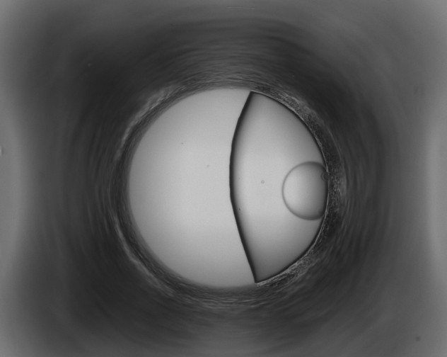 X0000086010734200703230910