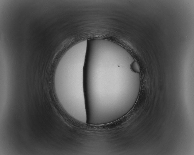 X0000086010738200703230910