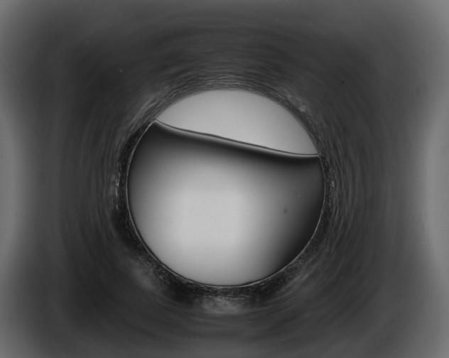 X0000086010739200703230910