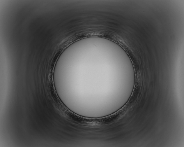 X0000086010741200703230910