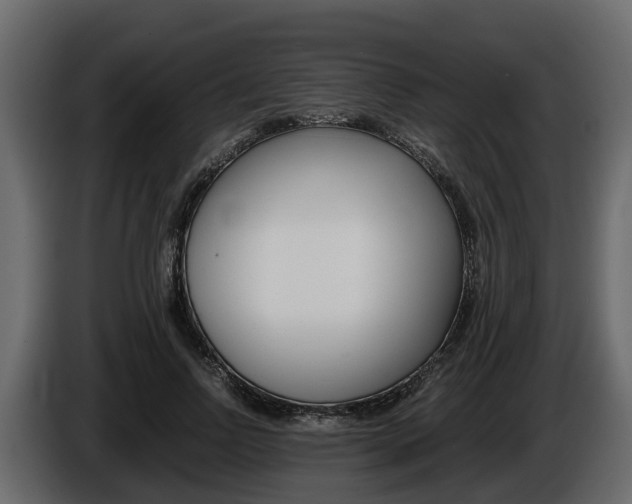 X0000086010742200703230910