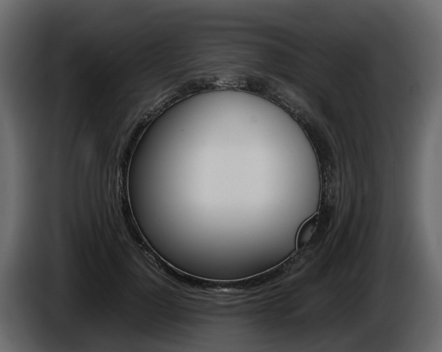 X0000086010748200703230910