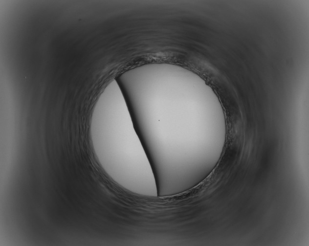 X0000086010749200703230910