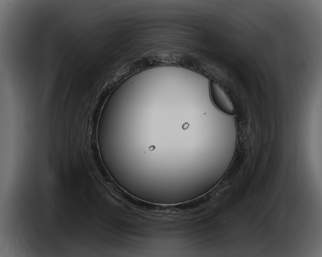 X0000086010752200703230910