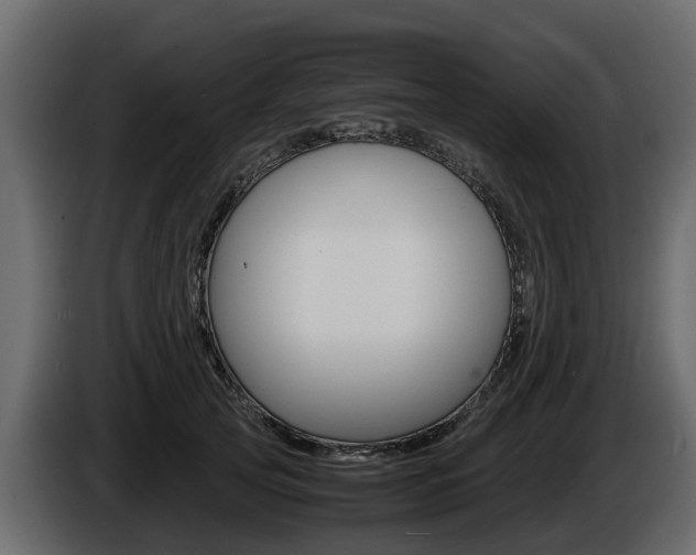 X0000086010753200703230910
