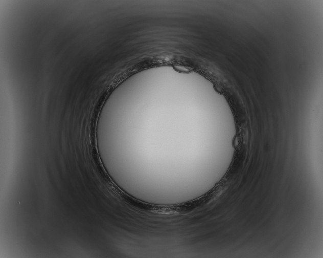X0000086010754200703230910