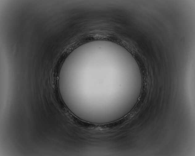 X0000086010755200703230910