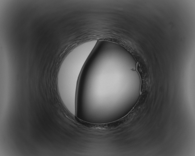 X0000086010756200703230910