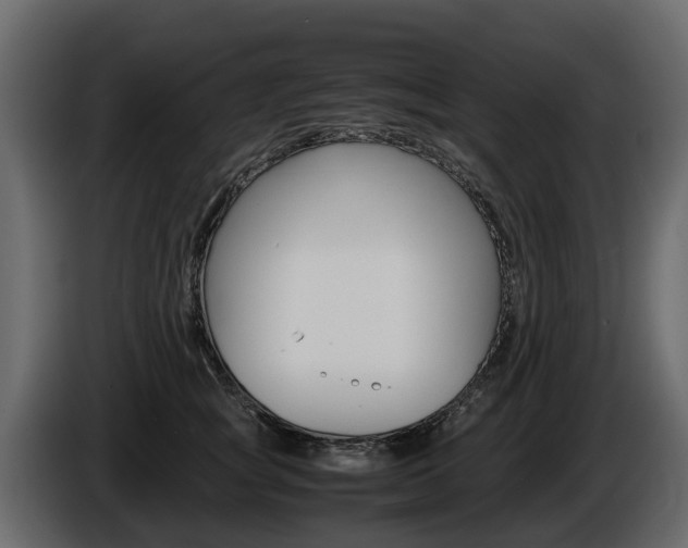 X0000086010757200703230910