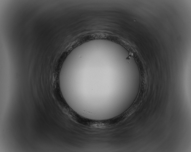 X0000086010759200703230910