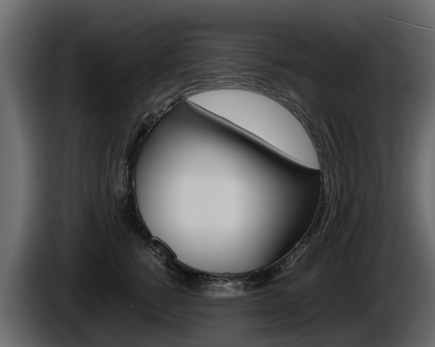 X0000086010760200703230911