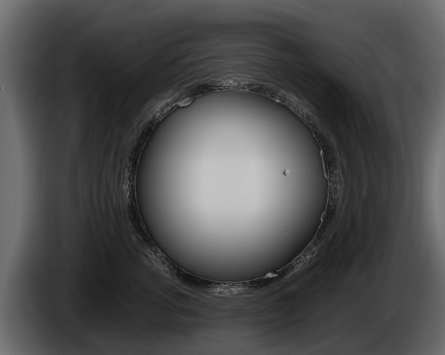 X0000086010762200703230911